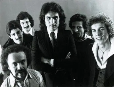 Quel chanteur italien a fondé le groupe de musique pop "Les Albatros" en 1974 ?