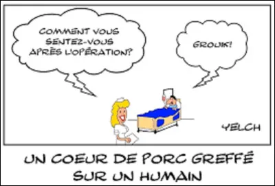 Comment dit-on coeur en espagnol ?