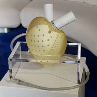 En quelle année fut créé le premier coeur artificiel au monde, par le russe Vladimir Demikhov, qui fut implanté sur un chien, qui ne survécu que deux heures après l'opération ?