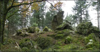 À quelle altitude situez-vous le point culminant du département ?