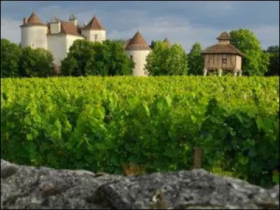 Quelle ville du Tarn-et-Garonne est réputée pour son raisin chasselas de table ?