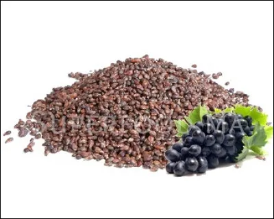 Quel produit peut-on obtenir avec les pépins de raisins ?