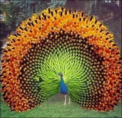 Mon premier enlève, mon second est l'inverse de tard, mon troisième ne dit pas la vérité, on dit de mon tout qu'il est fort comme lui !