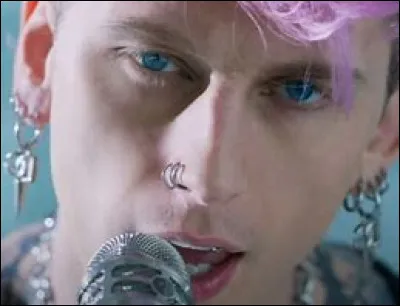 Quel chanteur de punk interprète "Bloody Valentine" ?