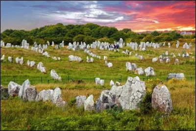 Dans quelle ville se trouvent ces alignements de menhirs ?