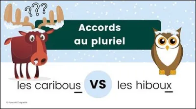 Combien de noms en "ou" prennent un X au pluriel ?