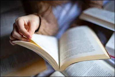 Que désigne un ''sac à puces'' ?