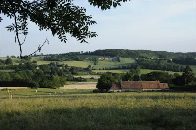 Quelle est cette région de l'ouest du département, ancien comté, et région délevage formée dun ensemble de collines ?