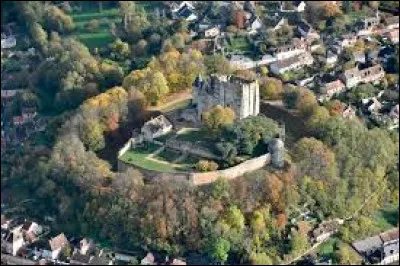 Quelle est cette ville, située dans l'ouest du département, sous-préfecture de 9 300 habitants ?