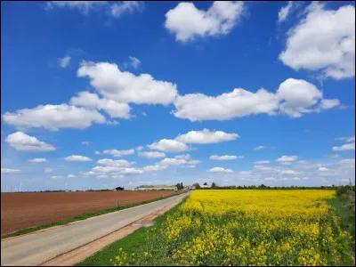 Quelle est cette région naturelle, région de culture céréalière étendue sur une grande partie du département entre les vallées de la Loire et de lEure ?