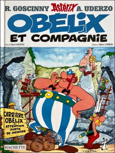 Obélix déplace constamment des menhirs, il en fera même une entreprise de pointe dans l'un des albums. Quel était le lien entre les menhirs et agencements de menhirs et les gaulois ?