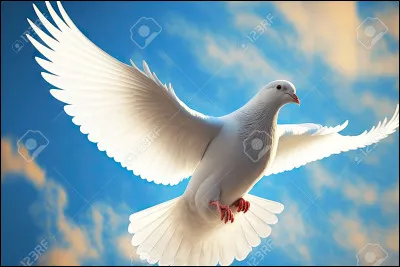 Quel est cet animal ?