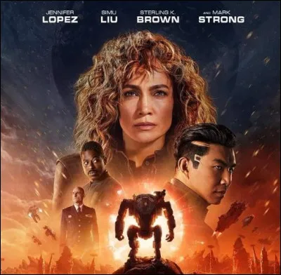 Quel film, sorti récemment sur Netflix, est évoqué à travers ce poster ?