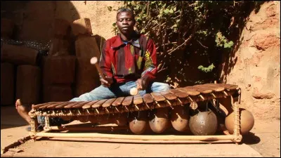 Quel instrument de musique originaire du Mali ressemble à un xylophone ?