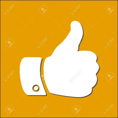 Quand cela vous convient, la chose vous va comme un/une...