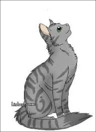 Qui est l'apprenti(e) de Papillon ?