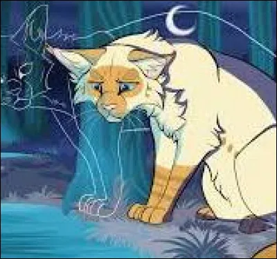 Si non, quel est son deuxième grade ?