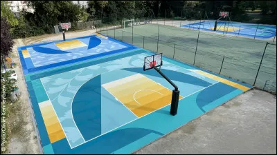 Quel est le sport où il y a deux paniers, un ballon et un terrain ?