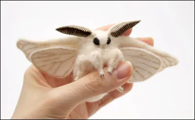 Quel est cet animal ?