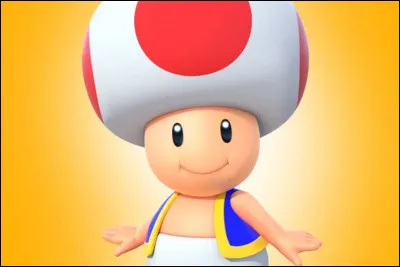 Quel est ce champignon ?