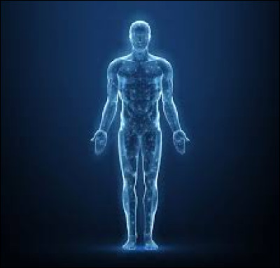 Sciences - Où se situe le deltoïde ?