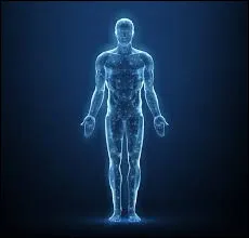 Sciences - O&ugrave; se situe le delto&iuml;de ?