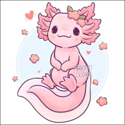 Quel est cet animal kawaii ?