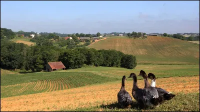 Quelle est cette petite région de collines, étendue sur le sud du département, région rurale et agricole située entre l'Adour et le Gave de Pau ?