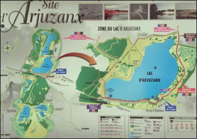 L'exploitation du site d'Arjuzanx, près de Morcenx dans le centre du département, a longtemps alimenté une centrale thermique, produisant de l'électricité : qu'extrayait-on à Arjuzanx ?