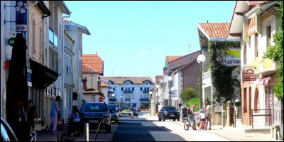 Quelle est cette ville de 8 400 habitants, située dans le sud ouest du département, dans le petit territoire du Marensin ?