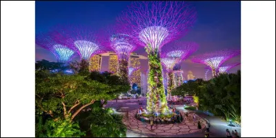 Où cette photographie a-t-elle été prise ?