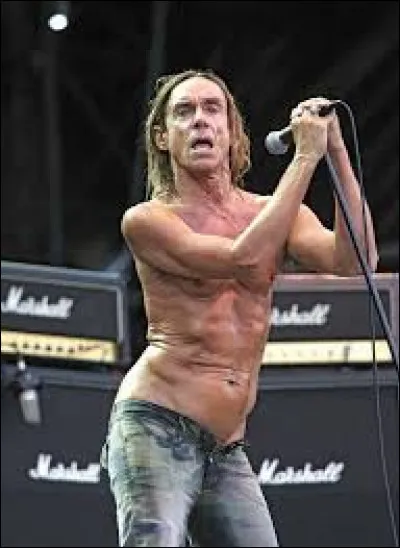 Iggy Pop, célèbre pour être le leader du groupe The Stooges et aimer être torse nu sur scène est-il encore en vie ?