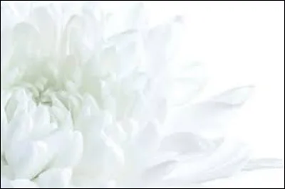 Comment dit-on la couleur "blanche" en anglais ?