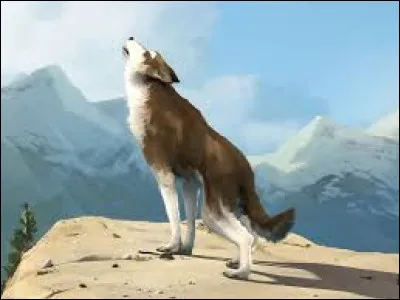 Qui a écrit le roman intitulé "Croc-Blanc" ?