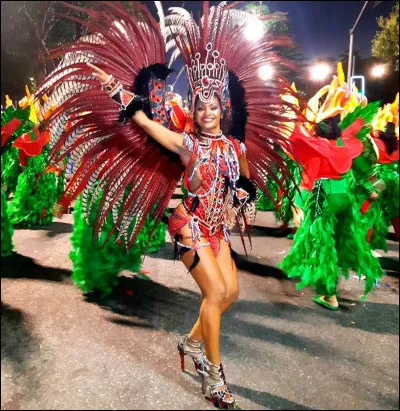 Quelles sont les couleurs du drapeau brésilien ?