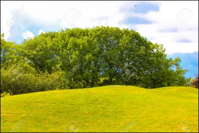 Quelle est la bonne proposition pour compléter la phrase : "La maison est située à ____ de colline" ?
