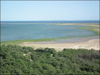 Dans son livre de 1929, quel nom porte le marin d'Édouard Peisson ?