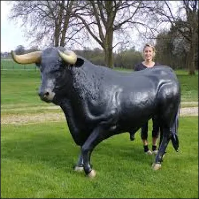 Km 50,7 : Arbin. C'est sur son territoire exclusif qu'est produit ce vin de Savoie nommé "Mondeuse d'Arbin". Quelle est sa couleur ?