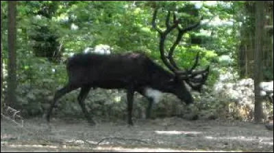Km 57,4 : Chignin. Si le vin blanc qui est produit sur la commune s'appelle "le chignin", quel est le gentilé de ses habitants ?