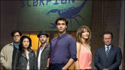 Le DHS engage Walter O'Brien et son équipe pour effectuer des missions. Quelle est la particularité de cette équipe ?