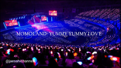 Quel est le fandom de Momoland ?