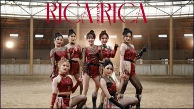 Quel est le fandom de Everglow ?