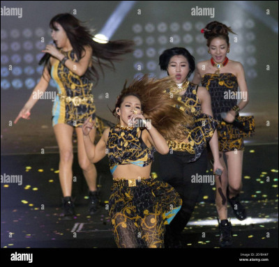 Quel est le fandom de 2NE1 ?