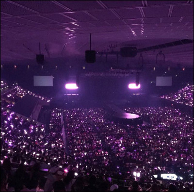 Quel est le fandom de Blackpink ?