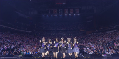 Quel est le fandom de Ive ?