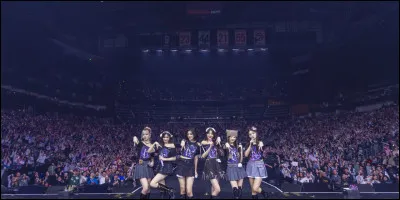 Quel est le fandom de Ive ?