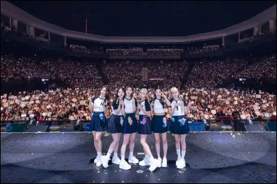 Quel est le fandom de NMIXX ?