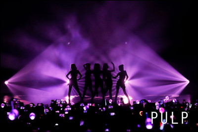 Quel est le fandom de (G)-Idle ?