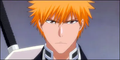 Question Bleach : comment s'appellent les parents d'Ichigo ?