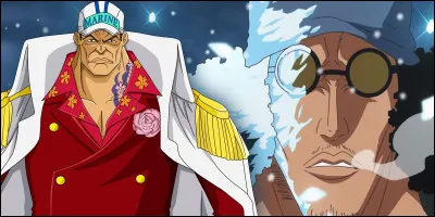 Question One Piece : Combien de temps dure le combat entre Akainu et Aokiji ?